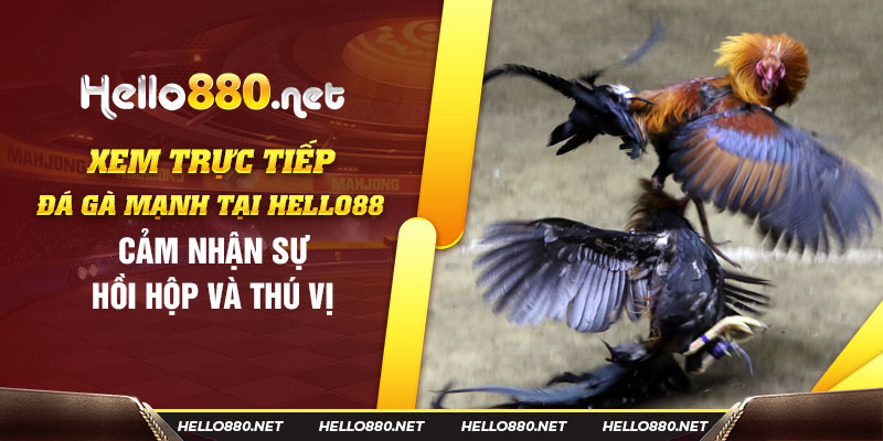 Hello88 Casino Khám Phá Thế Giới Giải Trí Đỉnh Cao